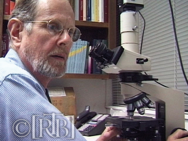 On 9 March 2000, I authorized the sample to be examined by the no-