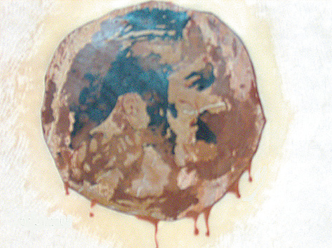 Enlarged reproduction of the face which appeared