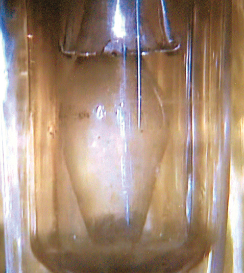 Reliquary of the drops of wine transformed into living Blood