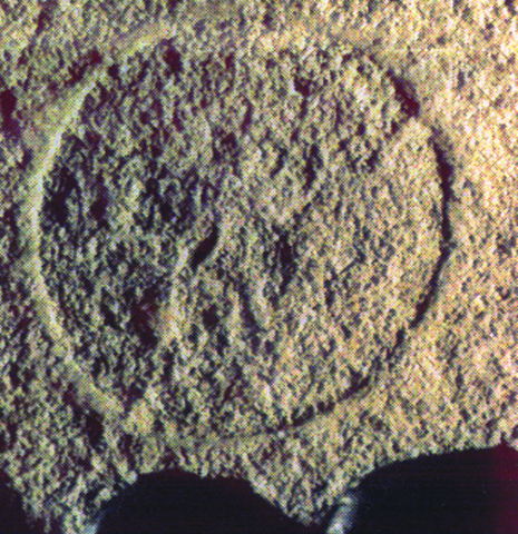 Historical artwork and preserved documentation of the Eucharistic Miracle of Mogoro (1604)